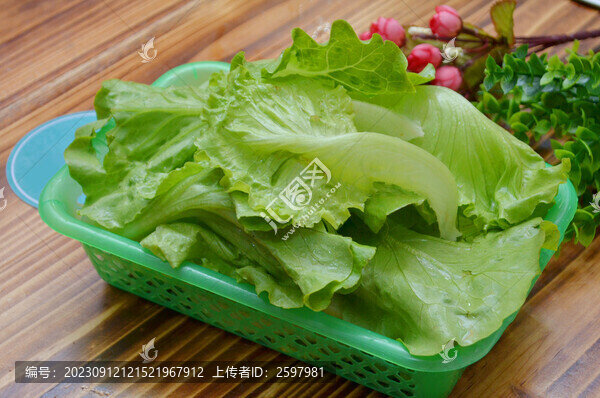 火鍋生菜