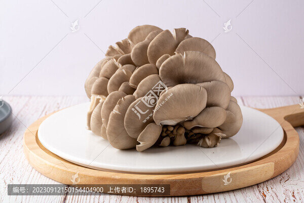 新鮮平菇