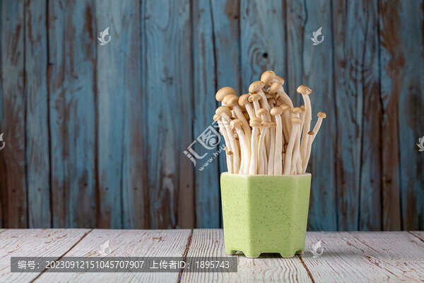 蔬菜金針菇