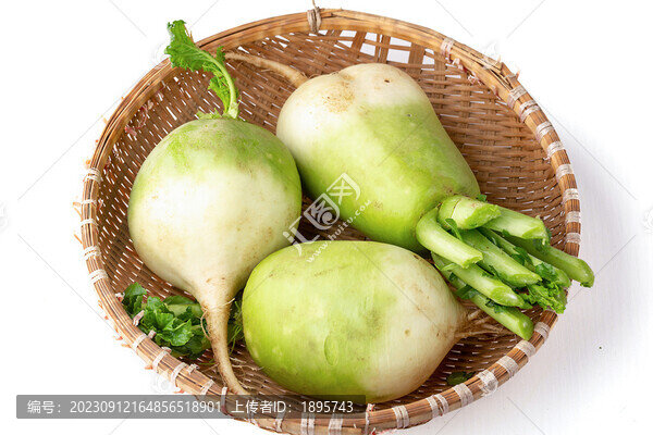 新鮮白蘿卜