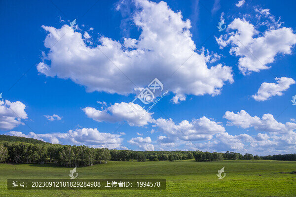 牧場(chǎng)