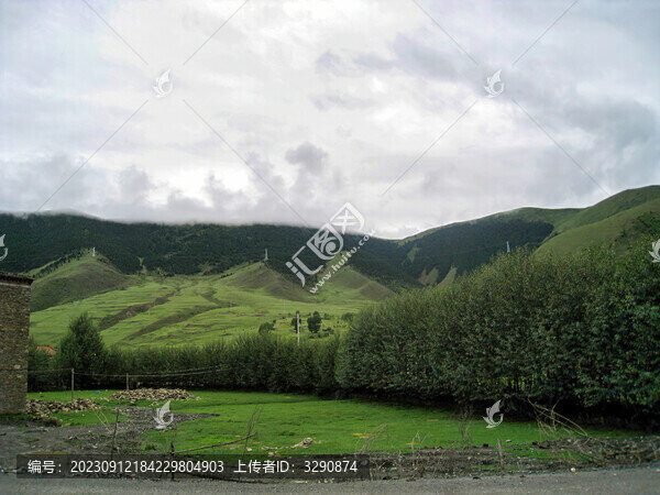陰天下的綠色高山和草原