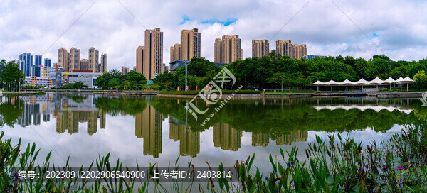 水倒影樹木建筑