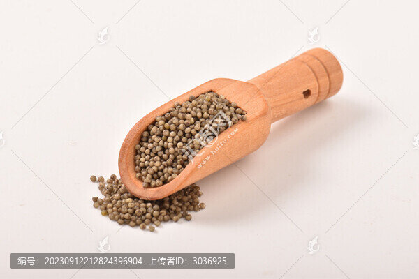 黑小米