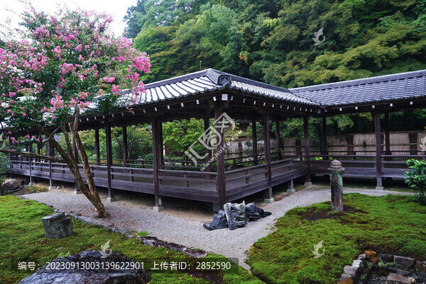 連廊