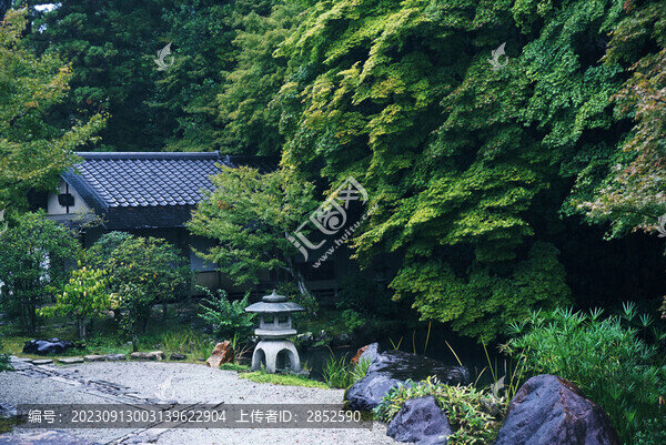 綠色掩映池塘邊