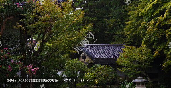 掩映