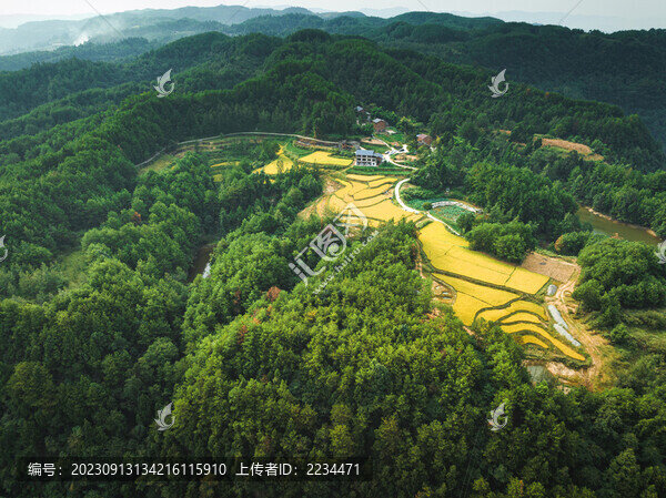 希望的田野