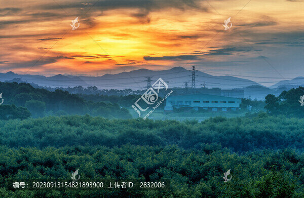 郊野日出
