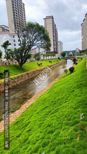 美麗的河道