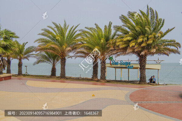 廈門海岸彩色廣場與棕櫚樹