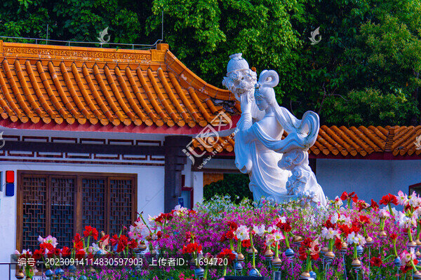 仙湖植物園