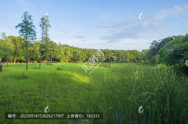 藍(lán)天綠地景觀