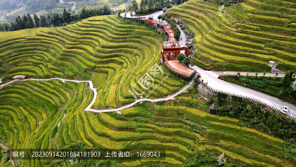 鄉(xiāng)村振興紫鵲界梯田秋景