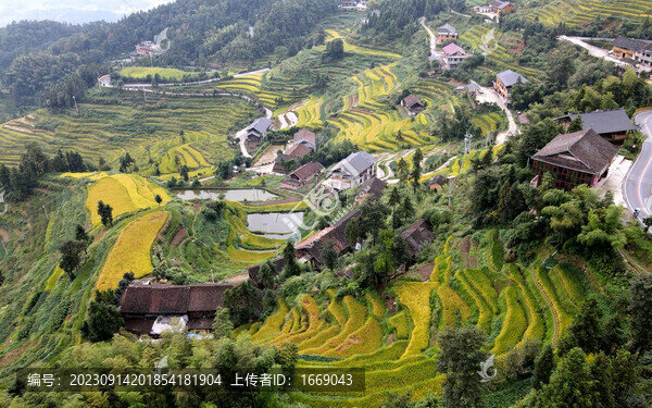 鄉(xiāng)村振興紫鵲界梯田秋景