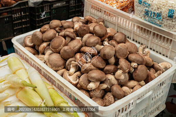 一筐新鮮香菇香蕈菌售賣(mài)