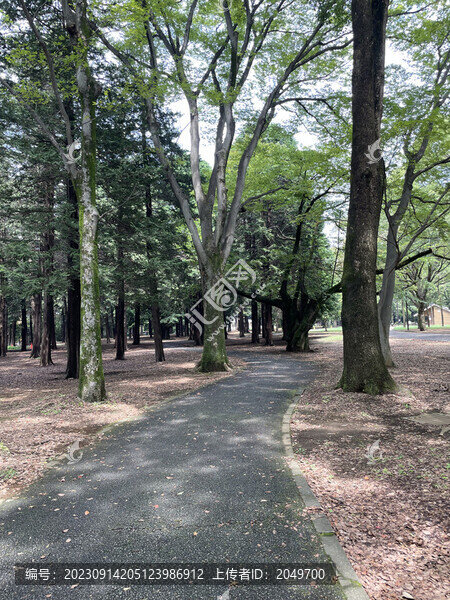 森林公園