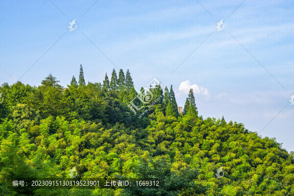 景區(qū)自然風光
