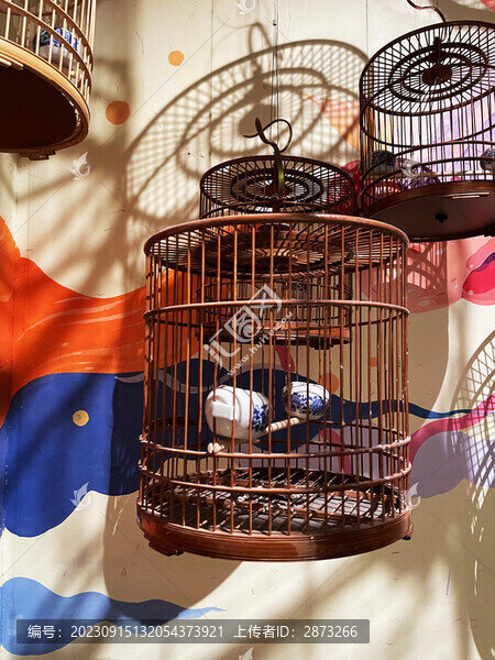 鳥籠子