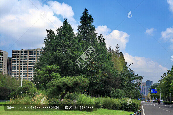 日照植物園