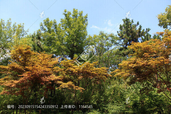 日照植物園