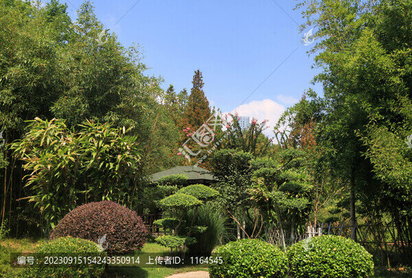日照植物園