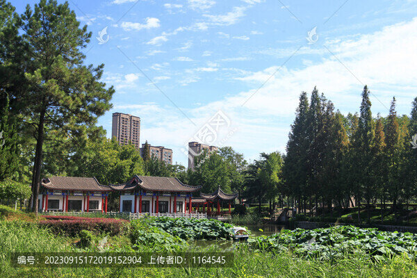 海曲公園