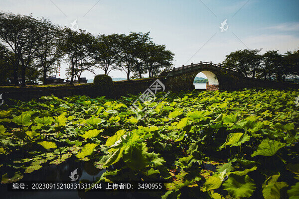 夏日長生橋