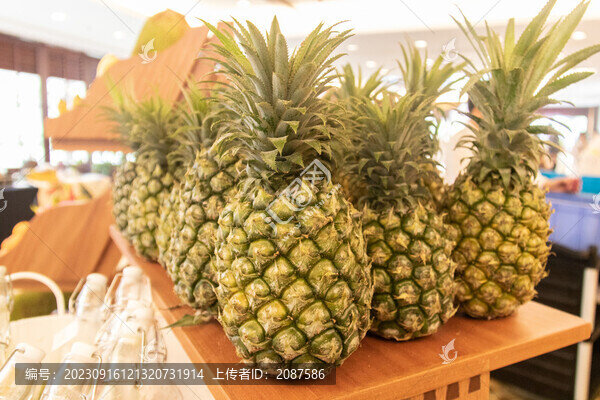 星級酒店自助餐廳蔬果陳列