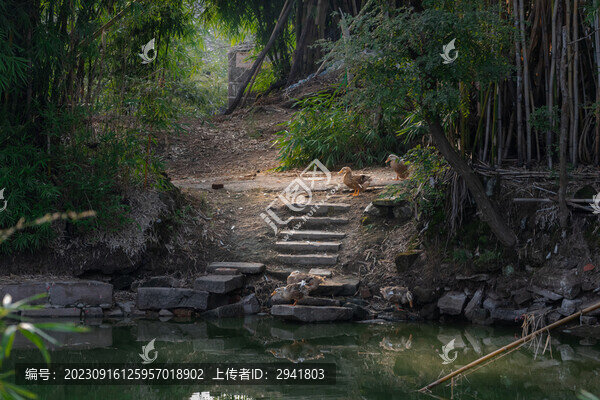 鄉(xiāng)村風(fēng)光