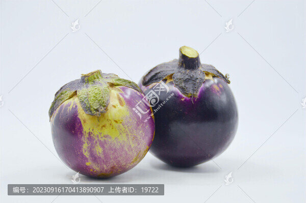 太空蔬菜