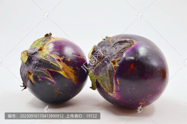太空蔬菜