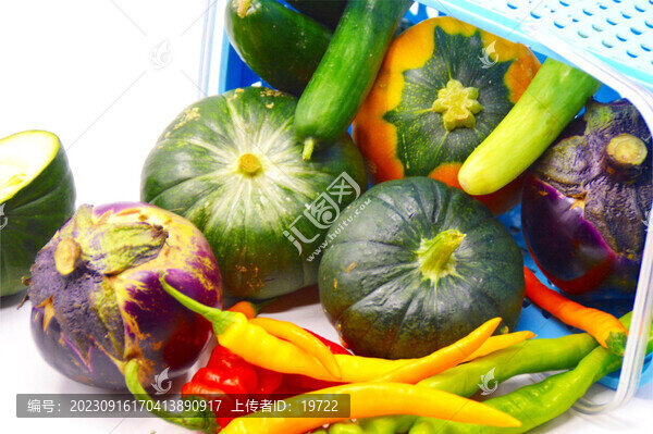 太空蔬菜