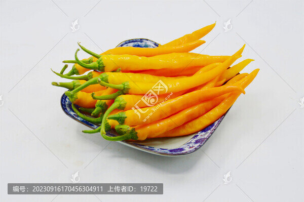太空蔬菜