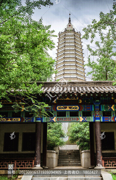 沈陽舍利塔灘地公園
