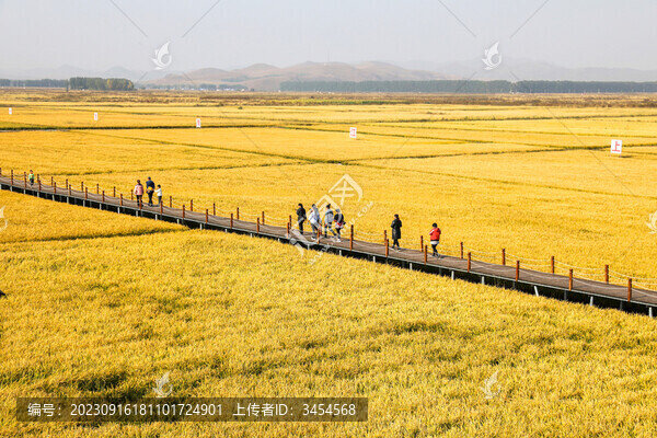 秋季稻田農(nóng)旅融合