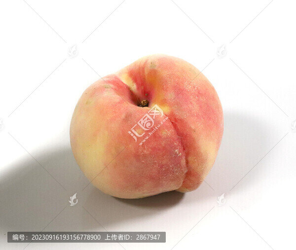 鮮桃子