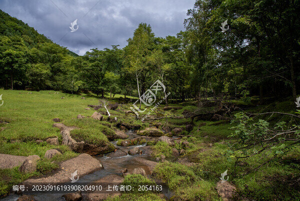 黑龍江伊春金山鹿苑
