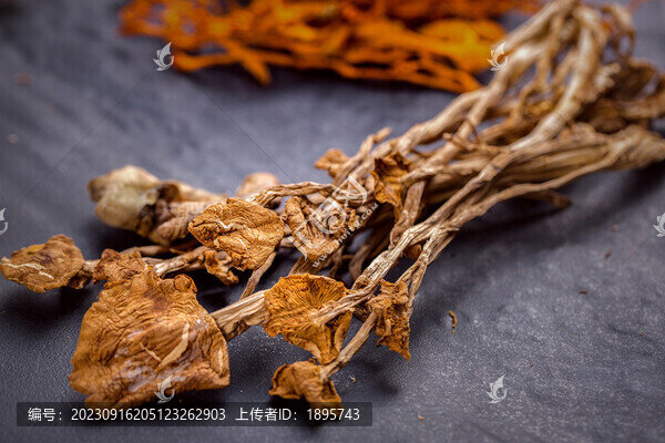 煲湯料茶樹菇干菜