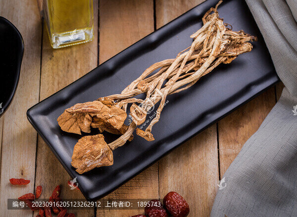 煲湯材料茶樹菇