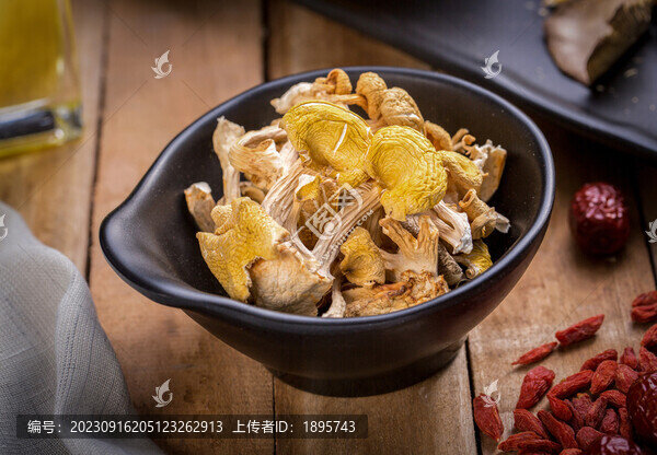 煲湯材料雞油菌