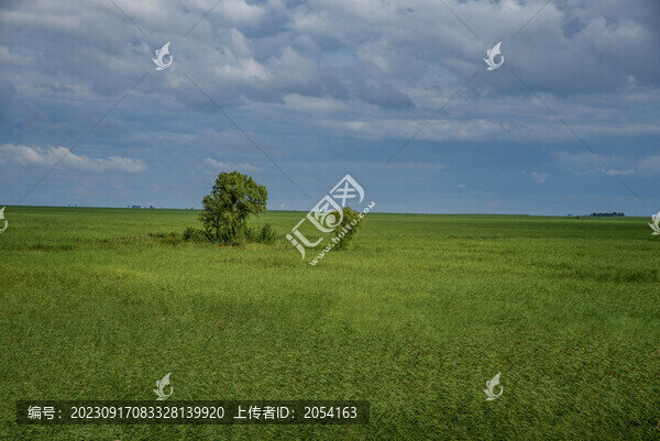 黑龍江齊齊哈爾扎龍自然保護(hù)區(qū)