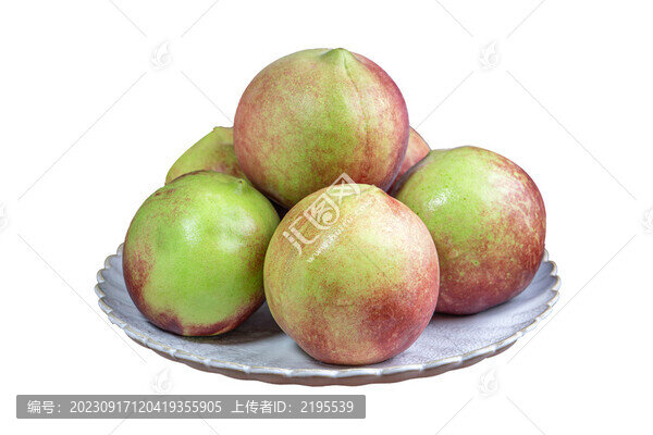 冬桃
