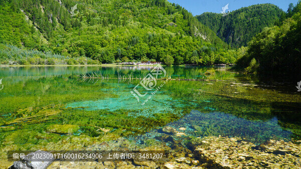 九寨溝五花海