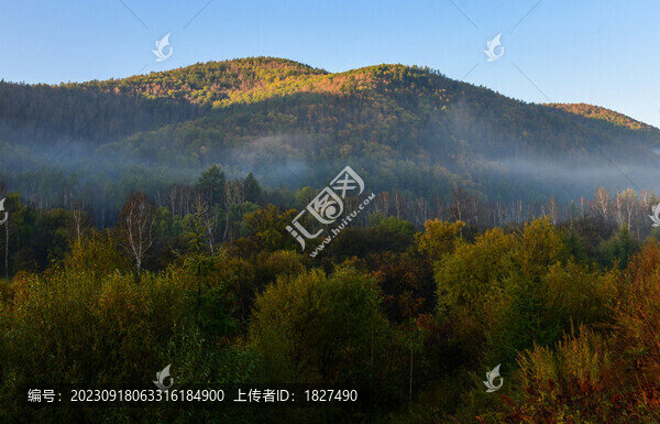 秋景