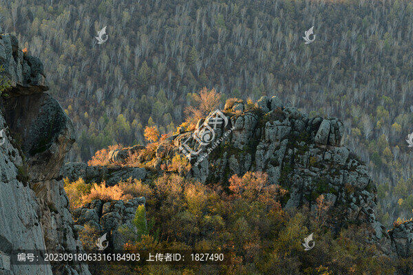 秋景