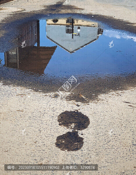 雨后水洼中的倒影