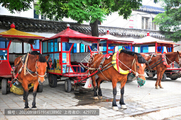 景區(qū)馬棚車