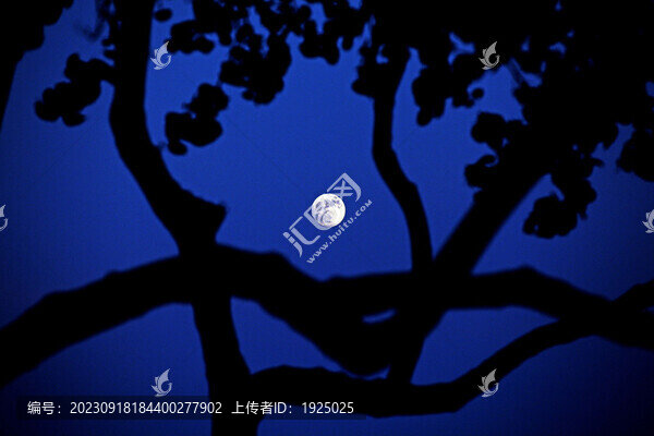 中秋賞月