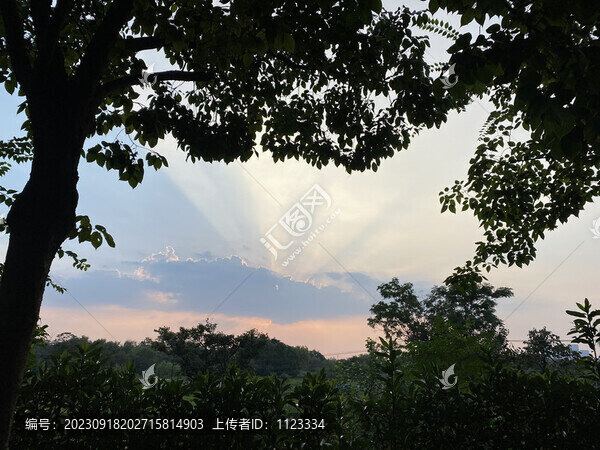 夕陽
